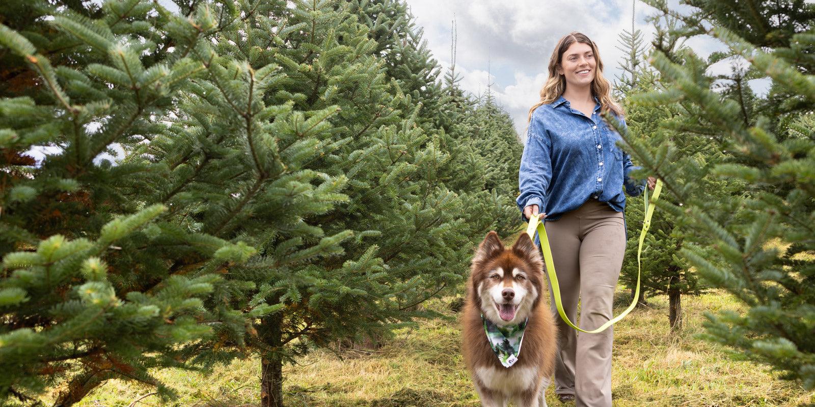 Dog Mom Clothing