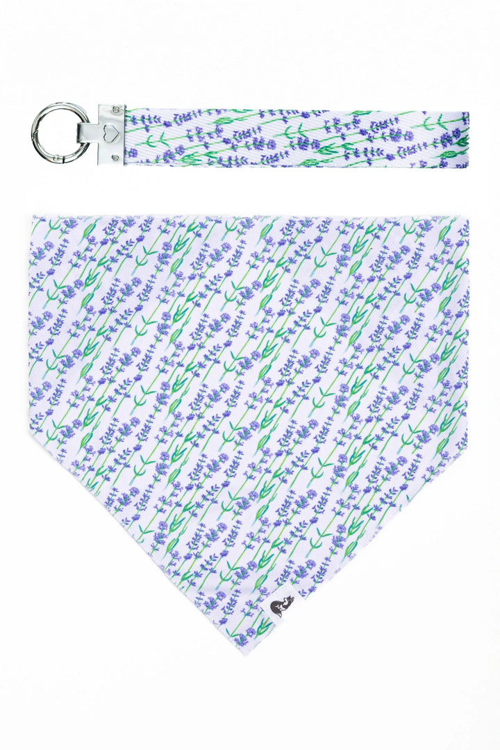 Lavender Blooms Dog Bandana & Matching Keychain - Aria the Fox