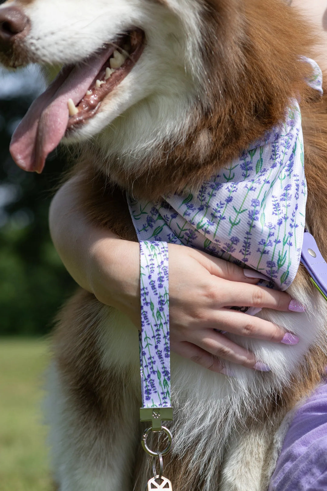 Lavender Blooms Dog Bandana & Matching Keychain - Aria the Fox