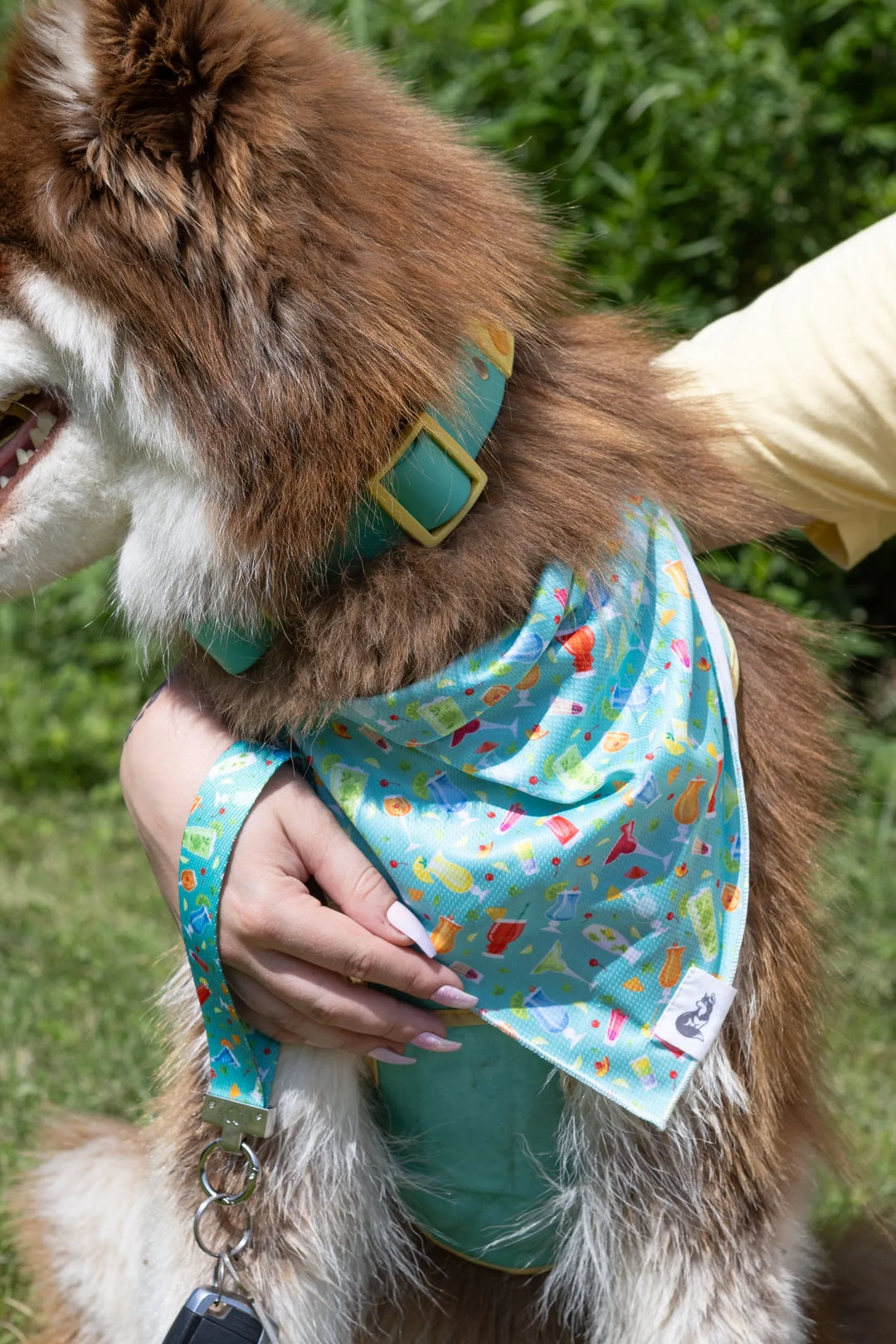 Seaside Sips Dog Bandana & Matching Keychain - Aria the Fox