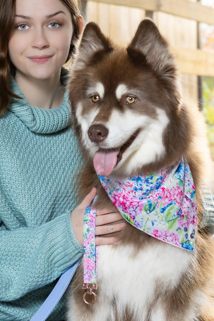 Hydrangea Haven Dog Bandana & Matching Keychain - Aria the Fox