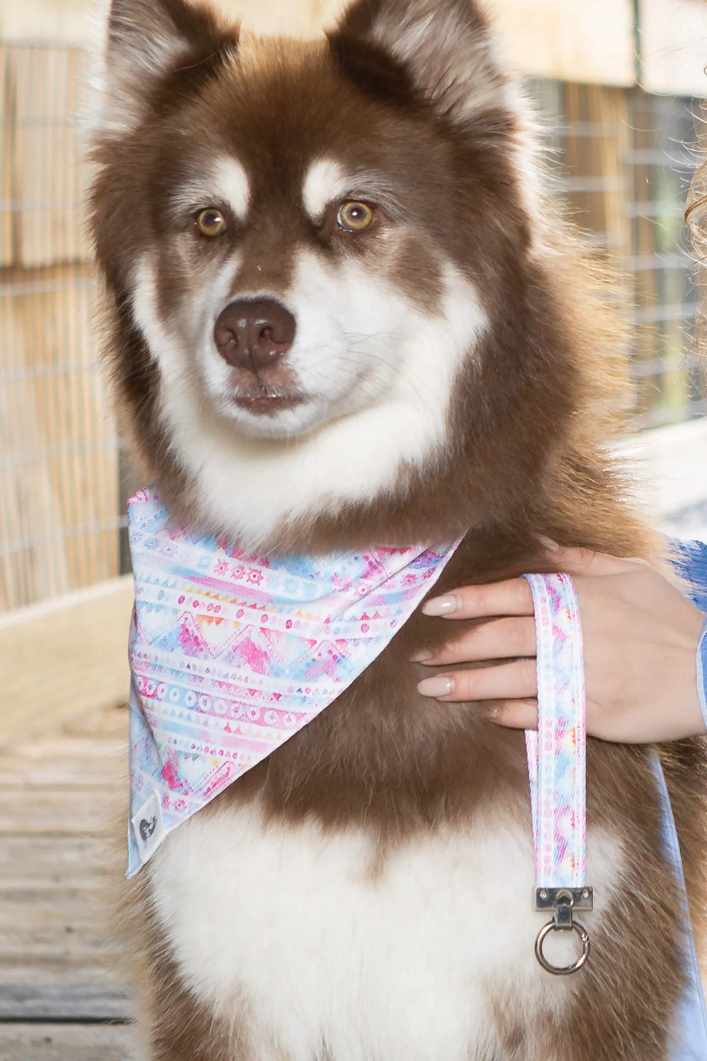 Pink and Blue Tribal Dog Bandana & Matching Keychain - Aria the Fox