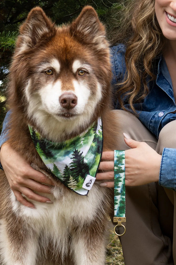 Evergreen Explorer Dog Bandana & Matching Keychain - Aria the Fox
