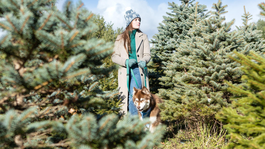 Siberian Spruce Waterproof Dog Collar Collar