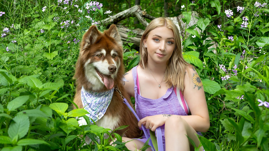 Unleash Your Style: How to Coordinate with Your Dog for the Perfect Look (Stylish Pet Accessories Guide)