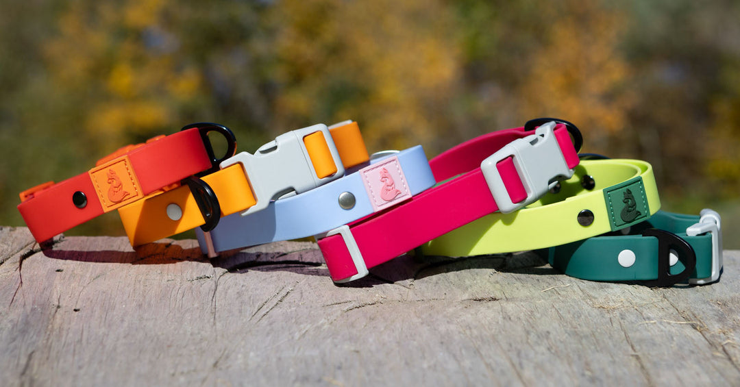 Top Waterproof Dog Gear of 2025: Style That Lasts (No Stink, No Fuss!)