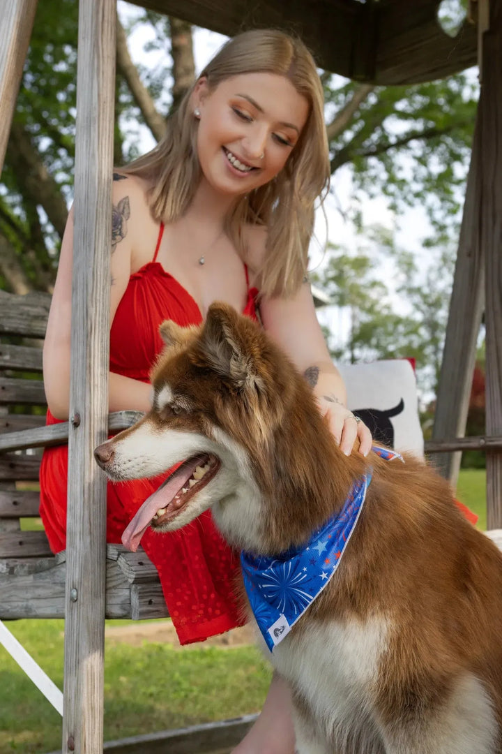 Patriotic Dog Bandana - Aria the Fox
