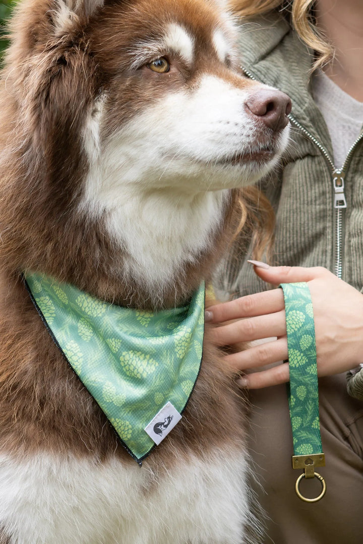 Pine Cone Pup Bandana & Matching Keychain - Aria the Fox