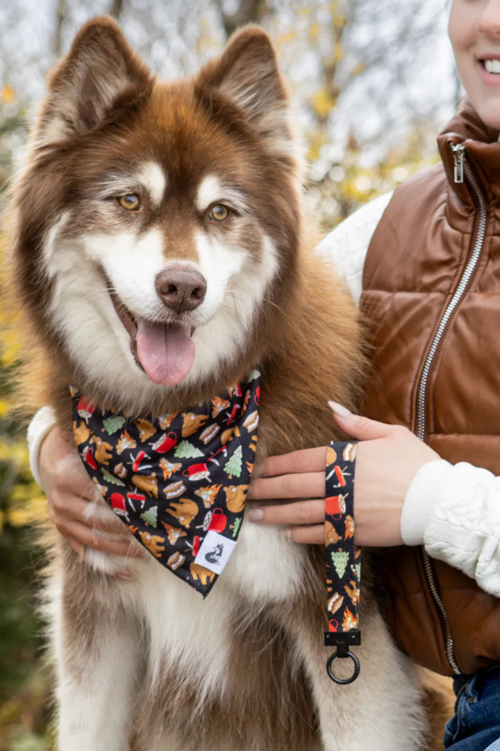 Woodland Tales Dog Bandana & Matching Keychain - Aria the Fox