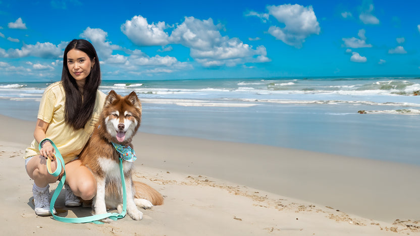 Island Vibes Ultimate Dog Harness main image 0
