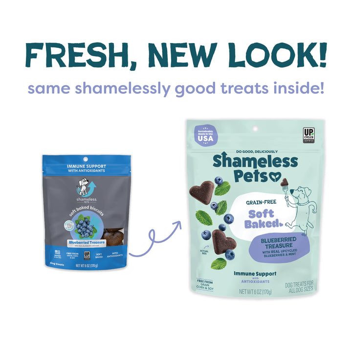 Blueberried Treasure Soft Baked Dog Treats