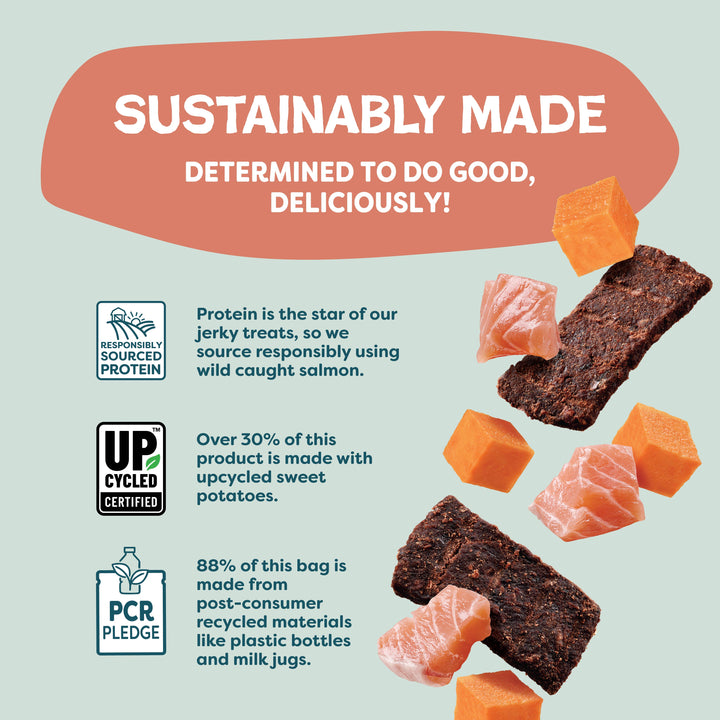 Salmon Loves Butternut Jerky Dog Treats