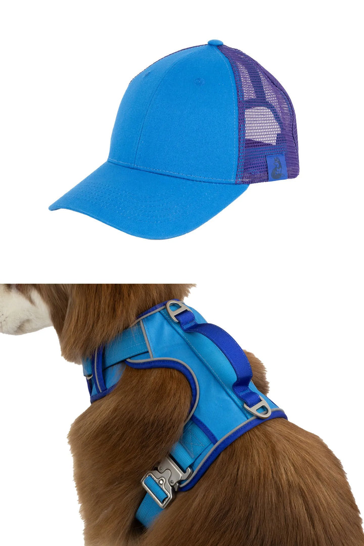Trucker Hat with Harness Matching Set - Aria the Fox